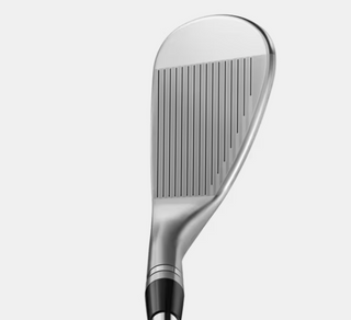 TITLEIST BV-SM11 WW L